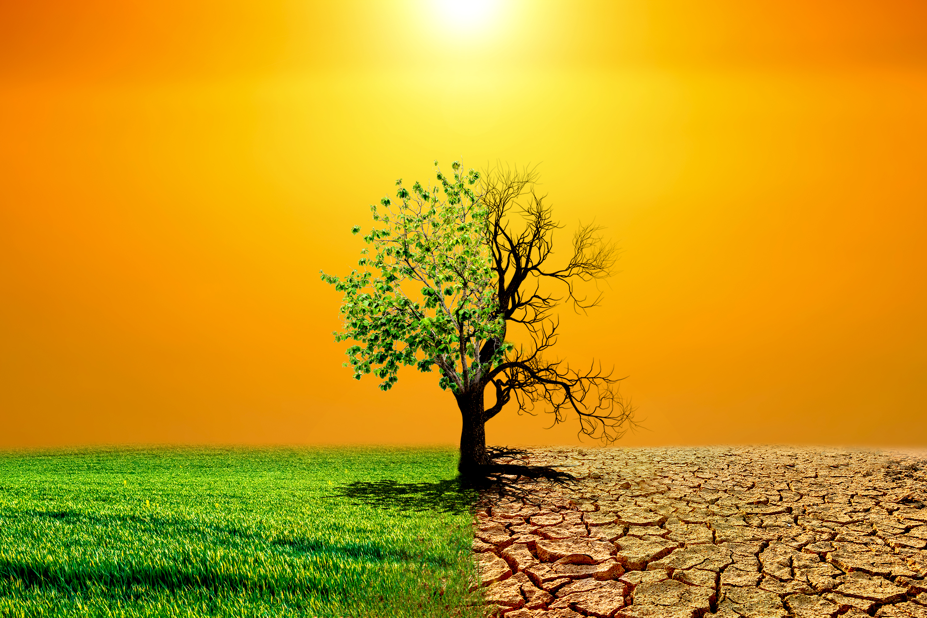 vecteezy global warming concept image showing the effects of dry land 9273868 744
